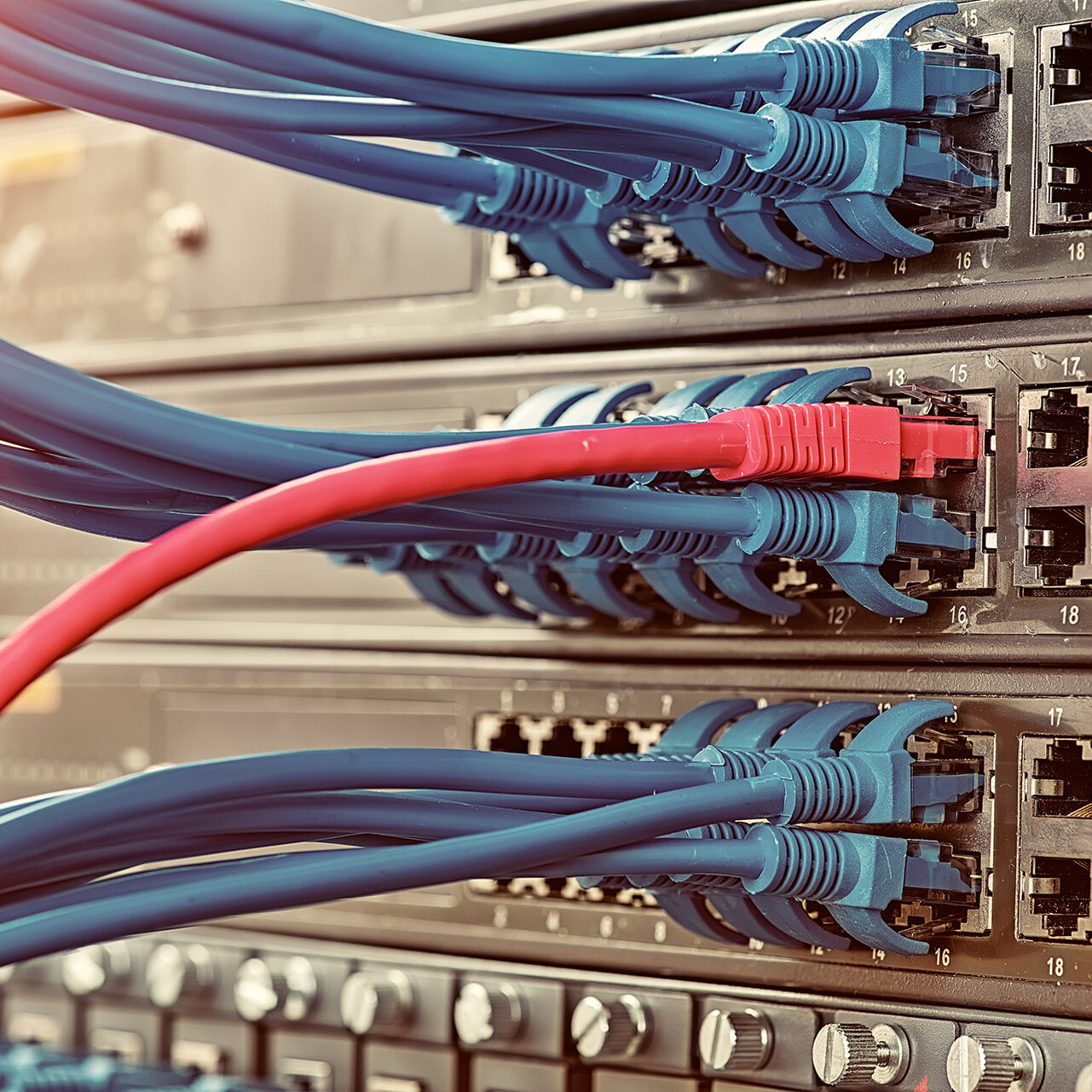 Information Technology Computer Network, Telecommunication Ethernet Cables Connected to Internet Switch.